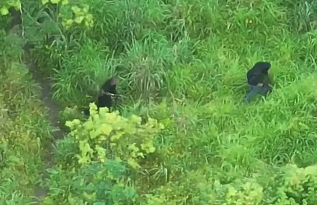 Imagem ilustrativa da imagem 