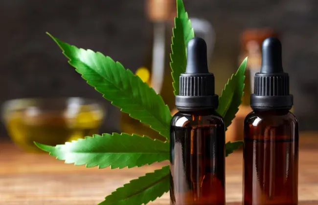 Imagem ilustrativa da imagem 