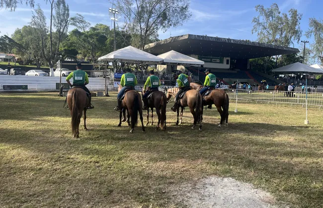 Imagem ilustrativa da imagem 