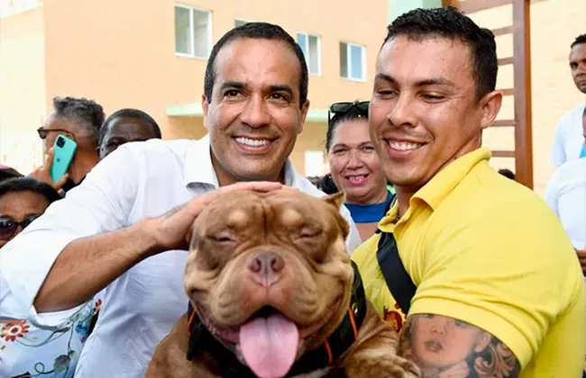 Imagem ilustrativa da imagem 