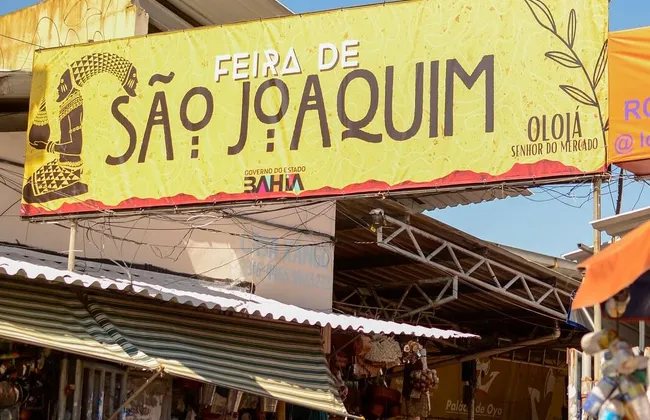 Imagem ilustrativa da imagem 