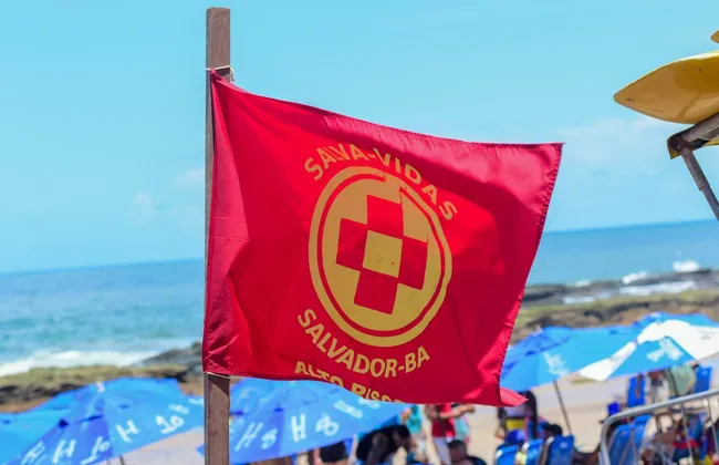 Imagem ilustrativa da imagem 