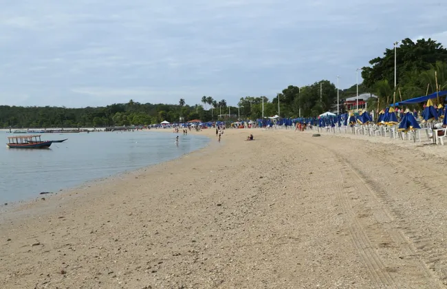 Imagem ilustrativa da imagem 