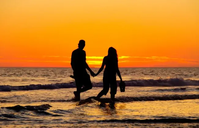 Imagem ilustrativa da imagem 