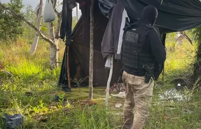 Imagem ilustrativa da imagem 