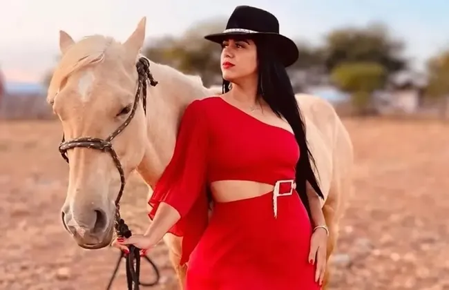 Imagem ilustrativa da imagem 