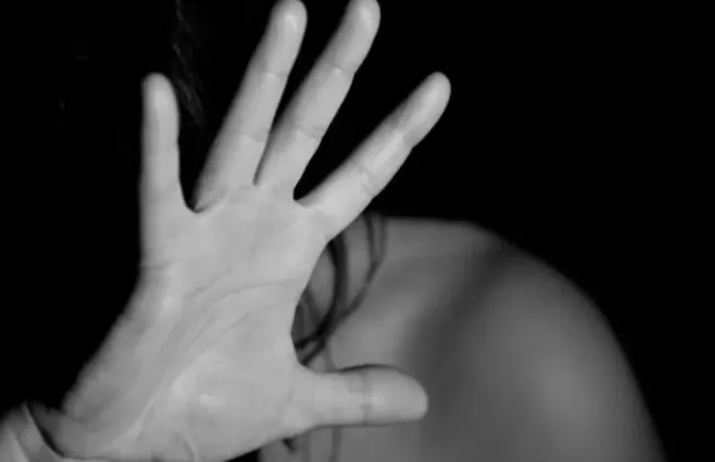 Imagem ilustrativa da imagem 