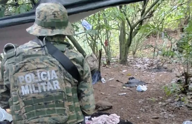 Imagem ilustrativa da imagem 