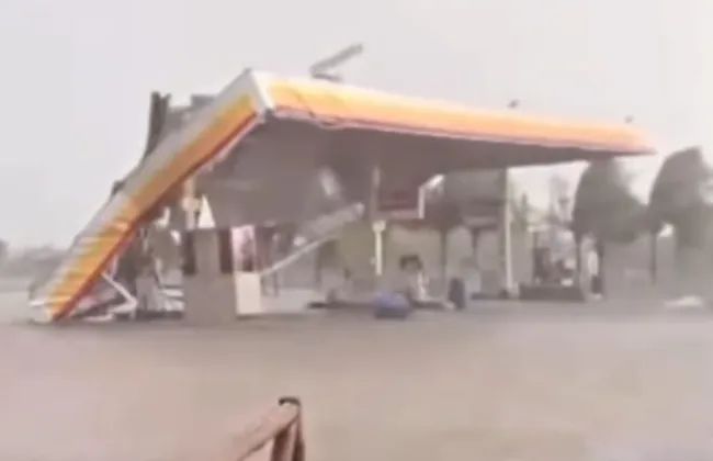 Imagem ilustrativa da imagem 