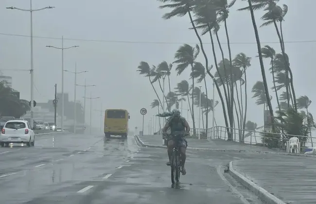 Imagem ilustrativa da imagem 