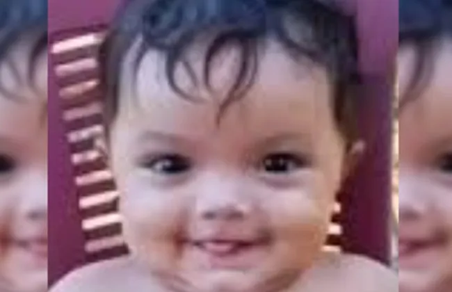 Imagem ilustrativa da imagem 