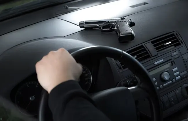 Imagem ilustrativa da imagem 