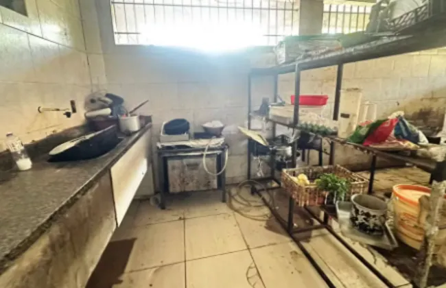 Imagem ilustrativa da imagem 