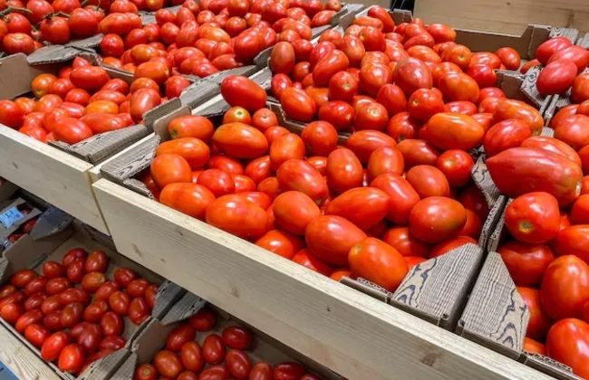 Imagem ilustrativa da imagem 