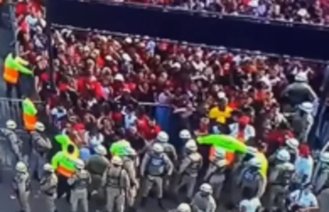 Imagem ilustrativa da imagem 