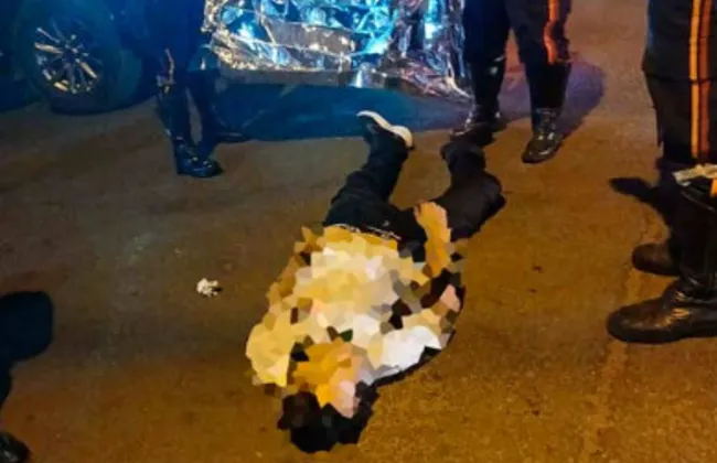 Imagem ilustrativa da imagem 