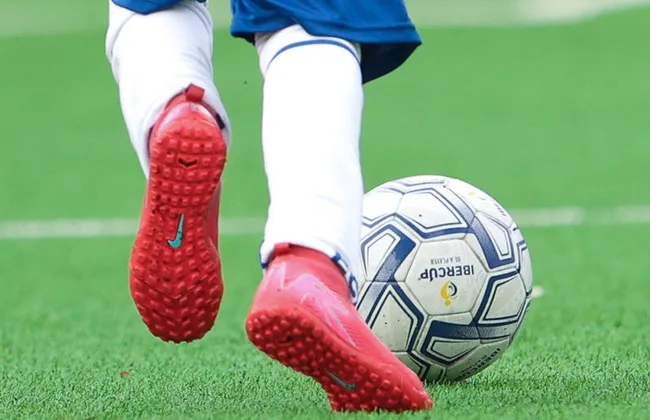 Imagem ilustrativa da imagem 