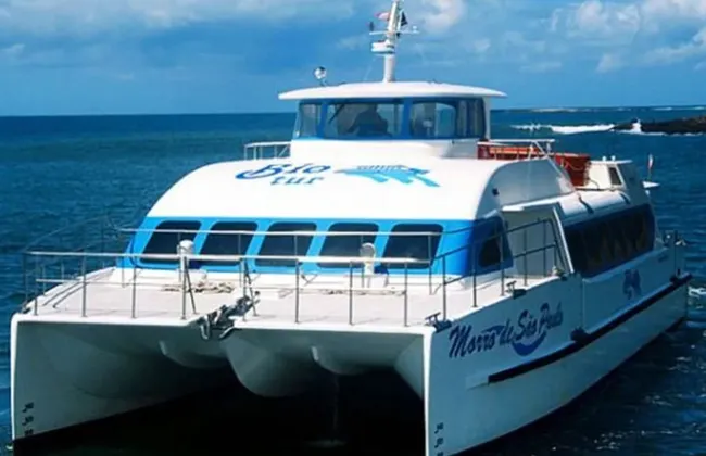 Imagem ilustrativa da imagem 