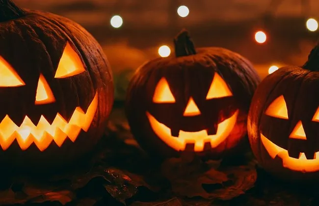 Imagem ilustrativa da imagem 