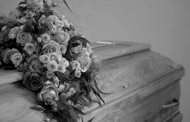 Imagem ilustrativa da imagem 