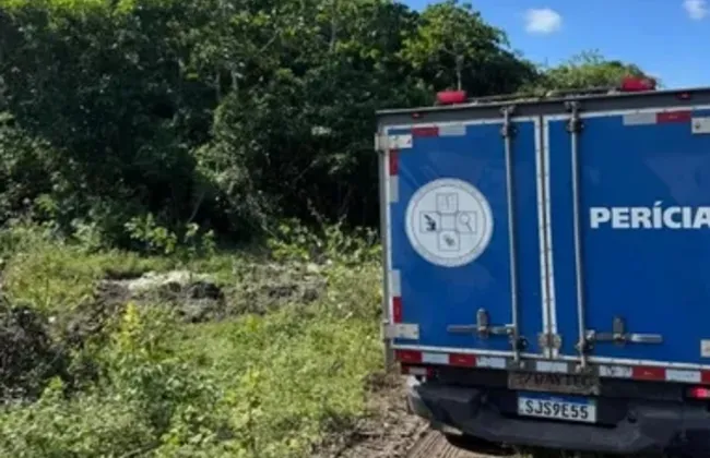 Imagem ilustrativa da imagem 