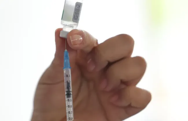 Imagem ilustrativa da imagem 