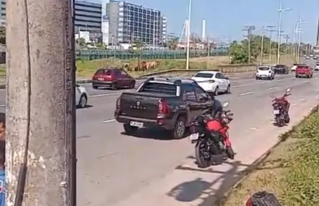 Imagem ilustrativa da imagem 