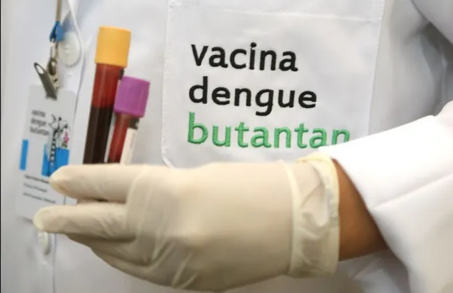 Imagem ilustrativa da imagem 