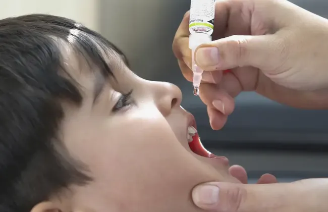 Imagem ilustrativa da imagem 