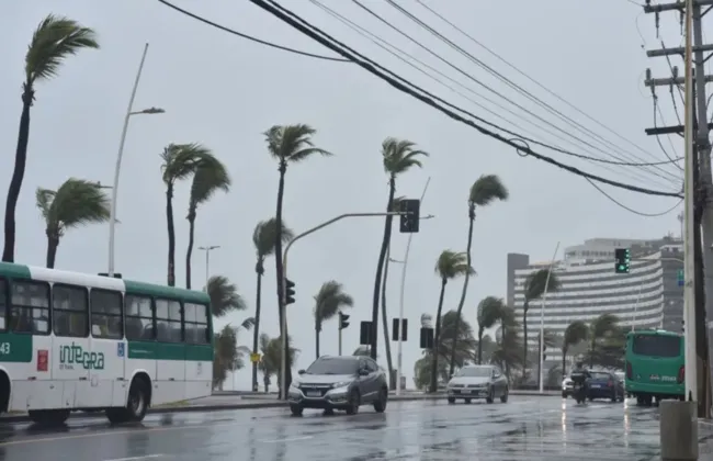 Imagem ilustrativa da imagem 