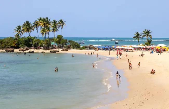 Imagem ilustrativa da imagem 