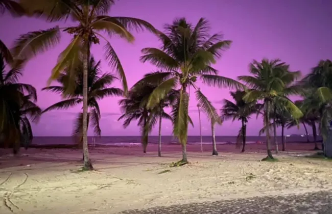 Imagem ilustrativa da imagem 