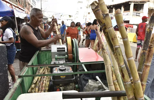 Imagem ilustrativa da imagem 