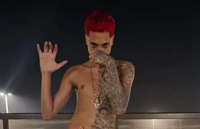 Imagem ilustrativa da imagem 