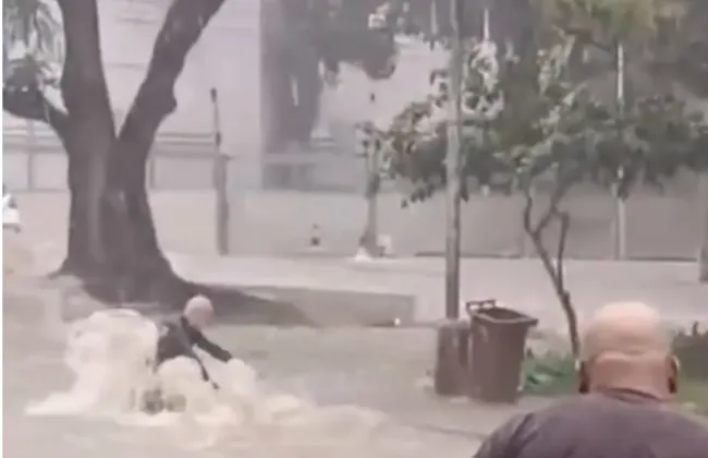 Imagem ilustrativa da imagem 