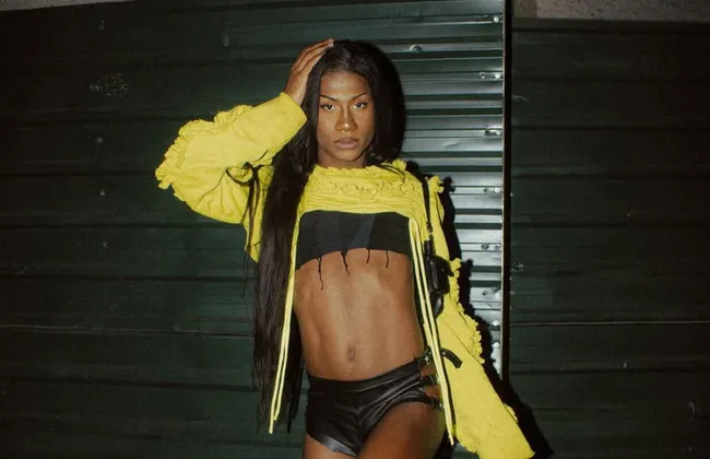 Imagem ilustrativa da imagem 