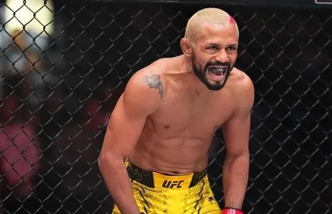 Imagem ilustrativa da imagem 