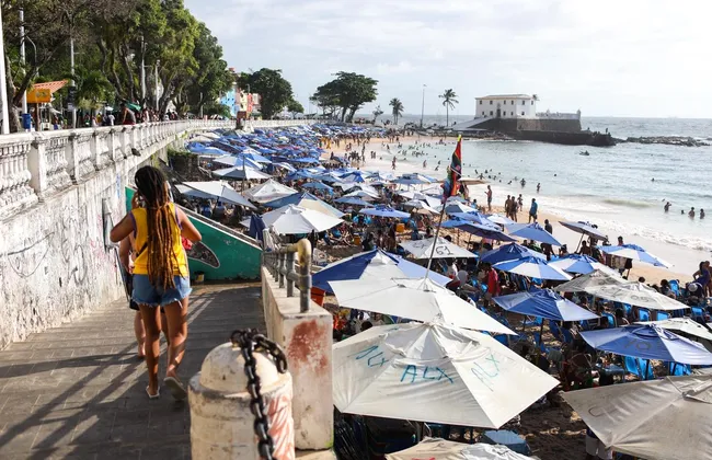 Imagem ilustrativa da imagem 