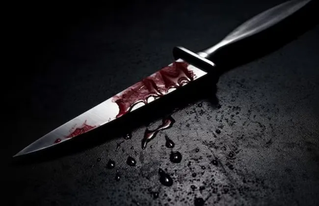 Imagem ilustrativa da imagem 