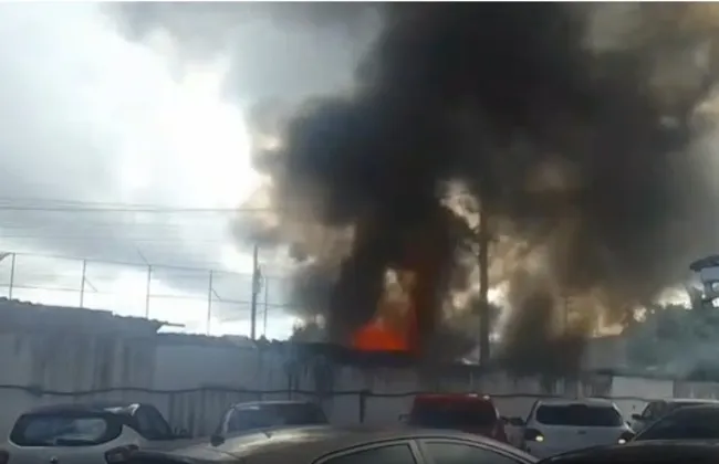 Imagem ilustrativa da imagem 