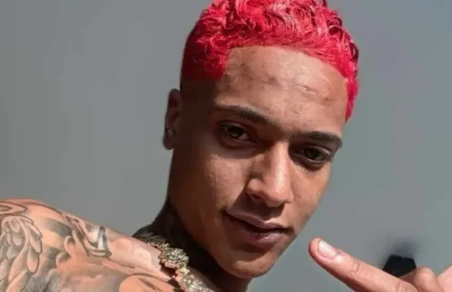 Imagem ilustrativa da imagem 