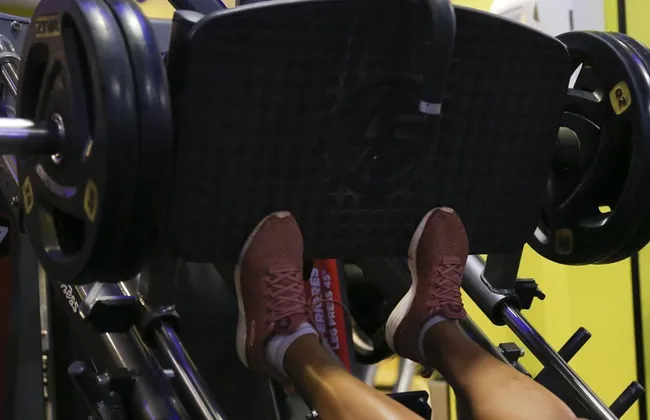 Imagem ilustrativa da imagem 