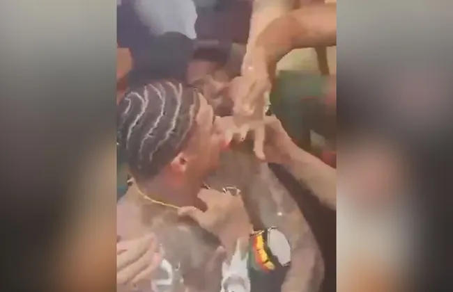 Imagem ilustrativa da imagem 