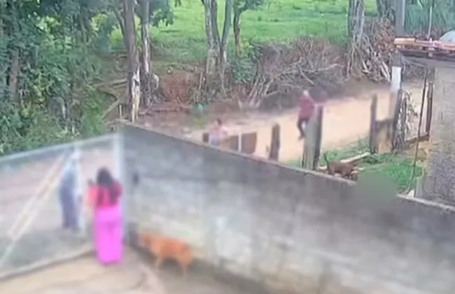 Imagem ilustrativa da imagem 