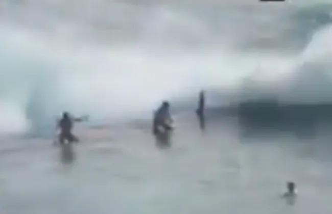 Imagem ilustrativa da imagem 