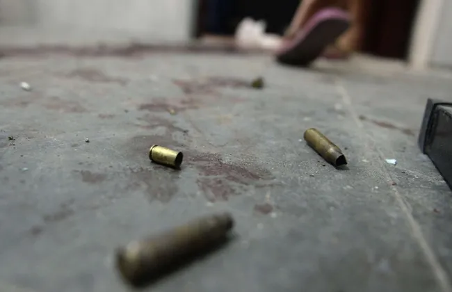 Imagem ilustrativa da imagem 