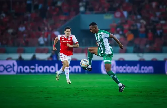 Imagem ilustrativa da imagem 