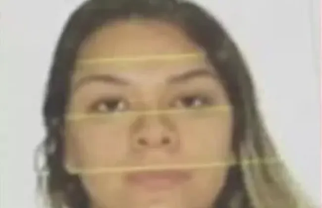 Imagem ilustrativa da imagem 