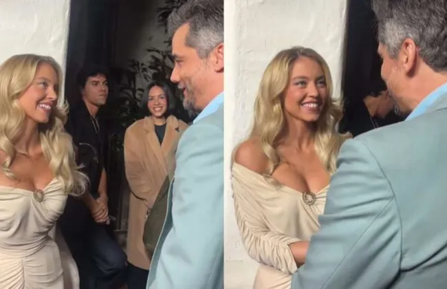 Imagem ilustrativa da imagem 