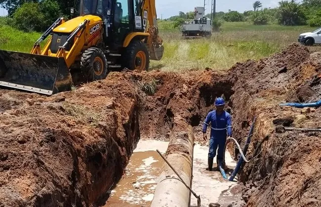 Imagem ilustrativa da imagem 